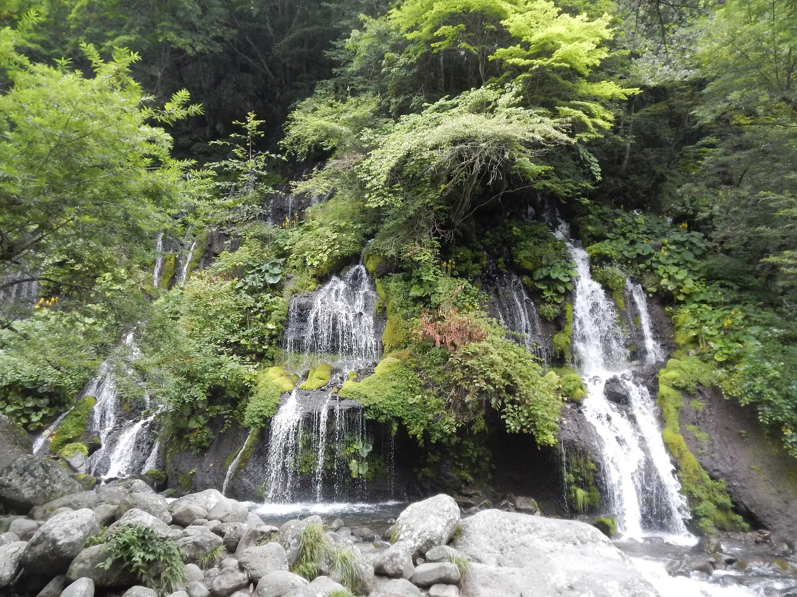 木々と苔に囲まれた岩の間を何本もの水流が落ちる吐竜の滝