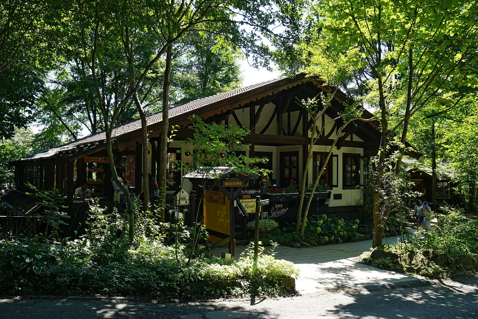 萌木の村の緑に囲まれた建物と木漏れ日の小径