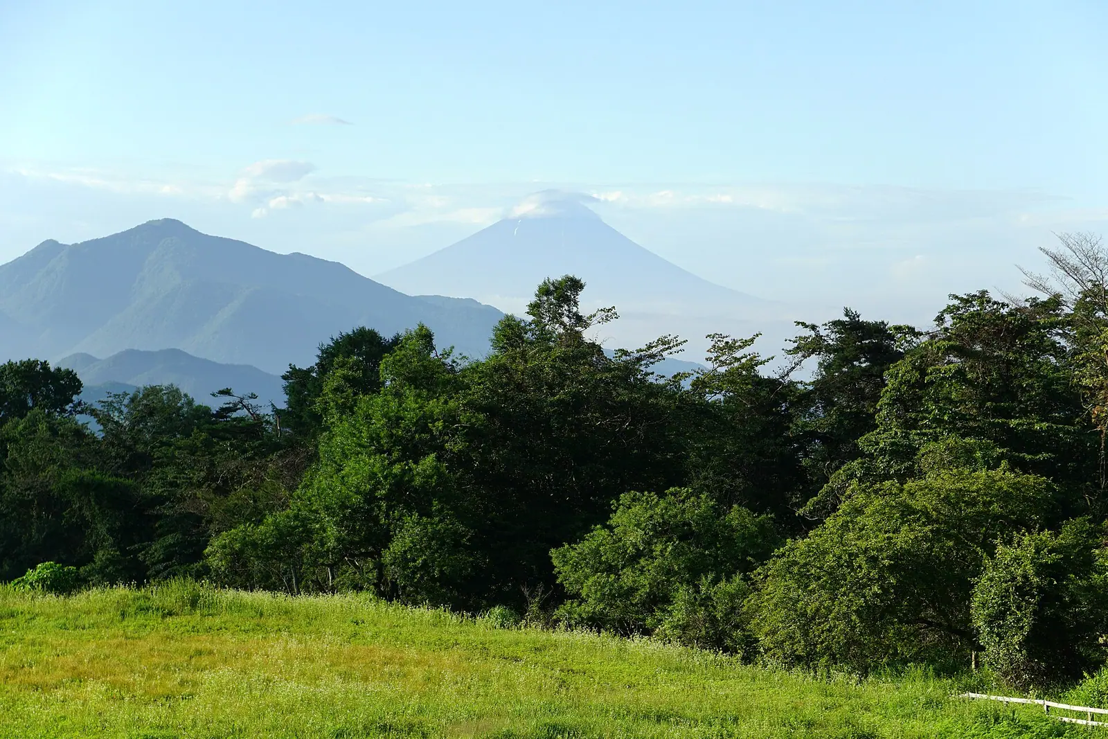 清泉寮の緑の牧草地と森、その奥に見える山並み
